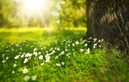 Earth Day 21 Challenges